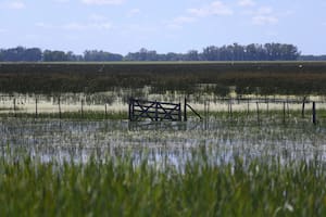Bajó el agua, pero se sembró apenas hasta el 40% del área y hay una menor actividad comercial en las ciudades