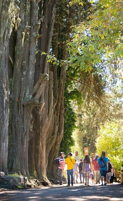 En la cumbrecita discuten hoy si deberán limitar el ingreso de turistas