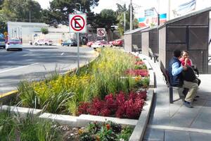 En la delegación Miguel Hidalgo de Ciudad de México, EET proyectó este jardín infiltrante sobre un segmento de la Avenida Legaria que acumulaba agua en forma de charcos y suciedad.