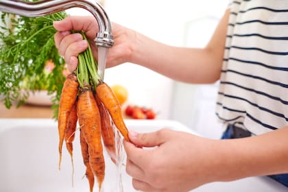 En la dieta nórdica se utilizan las verduras de estación, en especial, las hortalizas de raíz, que son las que están debajo de la tierra