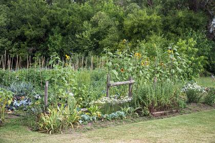 “En la educación ambiental no basta con la teoría, hay que meterse en la tierra, embarrarse y saber de qué se trata, experimentar, aprender y transmitir esta pasión a los chicos", dice Juan Carlos Giorgieri, fundador y presidente de la cooperativa.