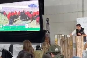 El MAG consolidó su nuevo canal de exportación con precios de referencia