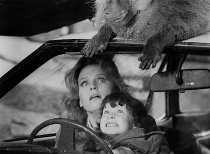 En la escena del zoológico, los cuidadores de los animales fueron atacados por los babuinos, cumpliendo otro hito en la maldición de la película.