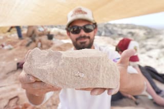 La expedición que mostrará el descubrimiento de fósiles en un yacimiento de 70 millones de años