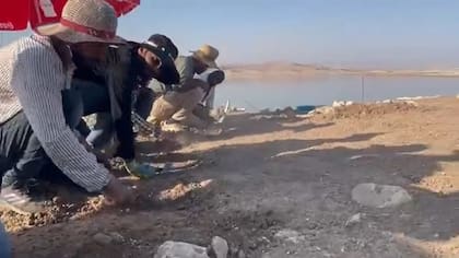 En la expedición trabajan 14 arqueólogos kurdos que pretender salvar las estructuras de la ciudad antes que el clima las deteriore