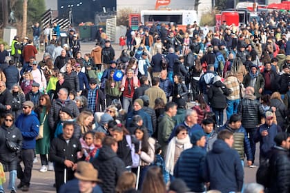 En la Expo Rural hay ganadería, agricultura e industria