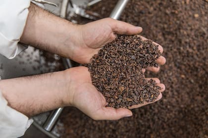 En la fábrica programan el perfil del tostado de los granos de cacao antes de molerlos.