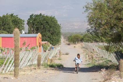 En la finca hay bicicletas para salir a dar una vuelta y llegar a la RN 40.