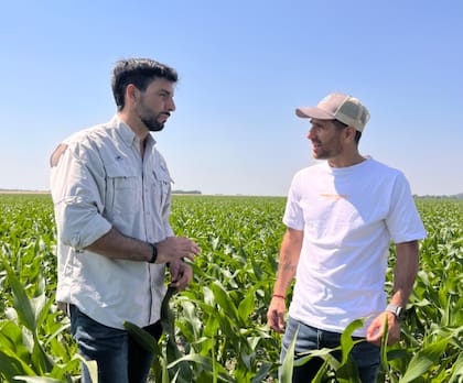 En la firma comentaron que estas herramientas digitales permitieron aprovechar la buena productividad del lote en Las Rosas para segmentar tres ambientes diferentes, capitalizar la oferta de recursos de cada ambiente y usar los insumos de manera variable