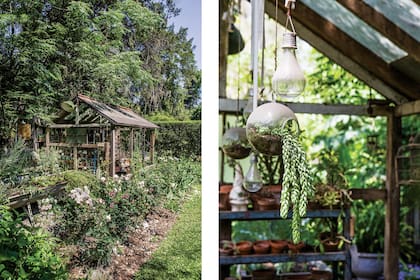 En La Flor Azul, Paquita descubrió que su alma de jardinera había permanecido latente.