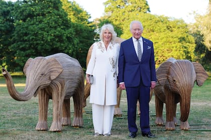 En la gala “Maravillas de la naturaleza”, los reyes posaron con nuevas obras de madera. Para la ocasión, Camilla eligió un look de la India, túnica blanca de largo midi con detalles en dorado, que combinó con un pantalón de seda haciendo juego. Carlos III optó por un traje azul, que completó con una corbata con estampa de elefantes y un broche en forma del paquidermo.