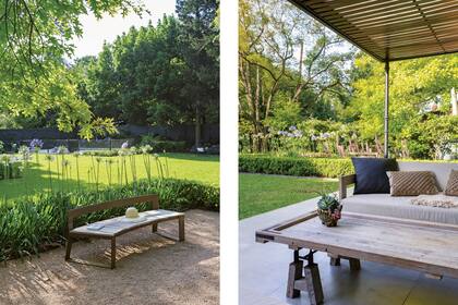 Sobre la mesa, mulita de cerámica con cactus y suculentas (Salazar Casa).