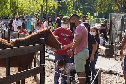 En la granja Don Benito, en Ingeniero Maschwitz, se puede alimentar a los animales.