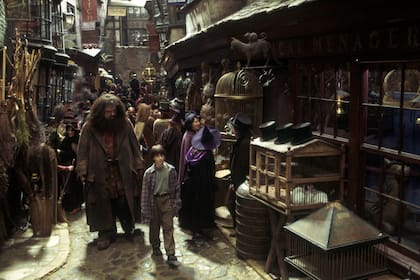 En la historia de J. K. Rowling, Coltrane interpreta a uno de los personajes más queridos para el joven mago