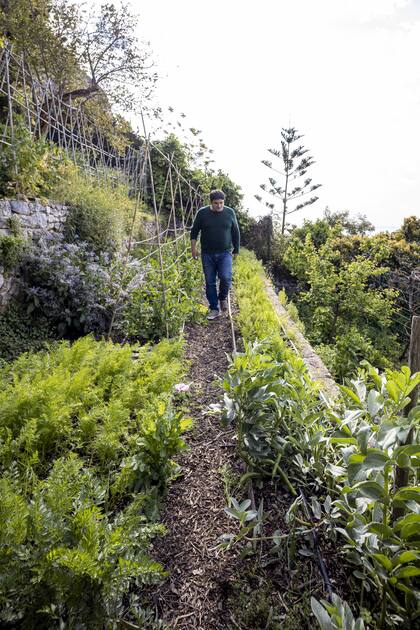 En la huerta de su casa, en Menton, que está en frente de Mirazur