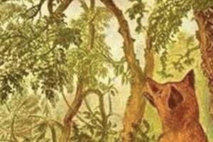 En la imagen de la selva se esconde un gran animal. No es sencillo: solo el 5% acierta.