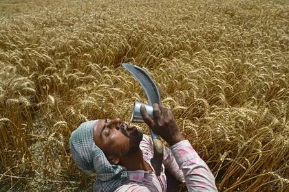 En la imagen, un trabajador se detiene a hidratarse