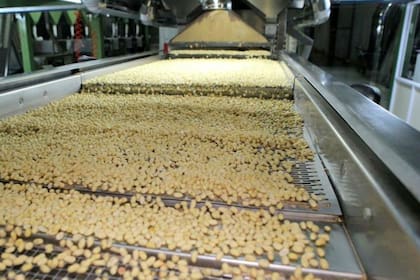 En el sector quieren ver si la medida alcanzará para potenciar las exportaciones