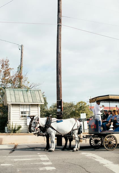 En la isla de Mackinac en Michigan, los caballos son el principal medio de transporte (Pexels/Rachel Claire)