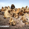 La ruta oceánica que reúne fauna marina, faros y pueblitos con historia