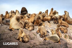 La ruta oceánica que reúne fauna marina, faros y pueblitos con historia