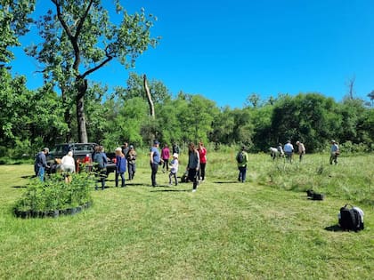 En la jornada en El Potrero se plantaron 710 árboles