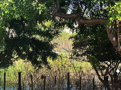 En la localidad de Nanawa, las líneas fronterizas se desdibujan