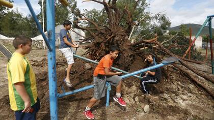 En la localidad mexicana de Tula, hubo árboles arrancados de raíz