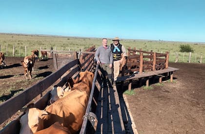 En la manga de su campo, Peluffo realiza las labores ganaderas