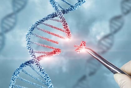 En la mayoría de los casos se trata de mutaciones aleatorias, errores en la copia del ADN que ocurren durante la replicación celular en una etapa de crecimiento