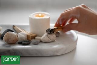 Da una de las fragancias más buscadas ancestralmente