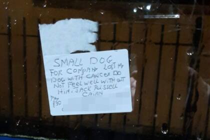 En la nota, el anciano escribió que su perro murió de cáncer y que no se siente bien sin una mascota que lo acompañe