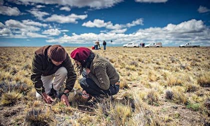 En la Patagonia, la empresa B Ovis21 se propone regenerar pastizales