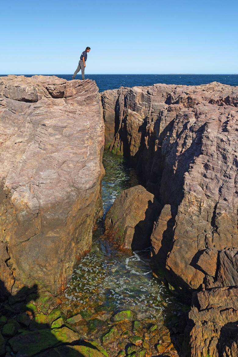 Bahía Bustamante: el paraíso patagónico entre algas, vinos y naturaleza extrema
