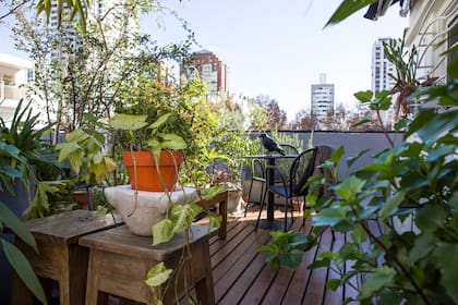 En la pequeña superficie propia, dentro de la terraza común del edificio, Mónica colocó deck, mobiliario de hierro y plantas armando así un oasis personal en medio de la ciudad