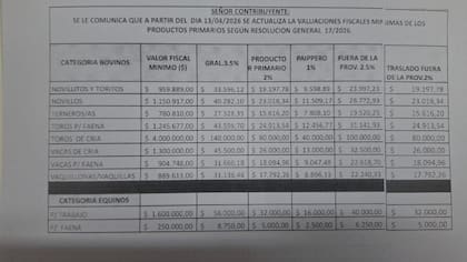 En la planilla actual, el valor fiscal de un novillo es de $1,150 millones y el traslado de ese animal fuera de la provincia pasó a $23.000