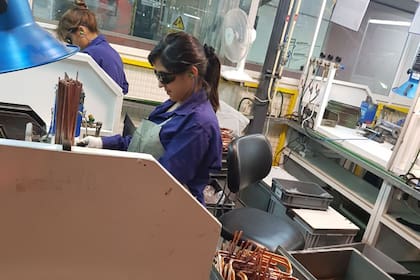 En la planta 5 de Newsan, en Tierra del Fuego, cuatro de cada diez operarios son mujeres