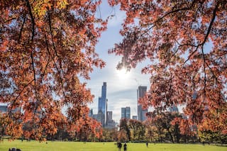 Cuándo inicia el receso escolar y las vacaciones de primavera