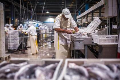 En la propuesta de ley se cambiaba el criterio de asignación de cuotas de pesca, lo que iba a ocasionar la pérdida de empleos por la desaparición de pymes del sector