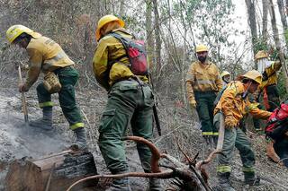 Jujuy: en lo que va del año, el fuego ya afectó 4200 ha en el Parque Calilegua