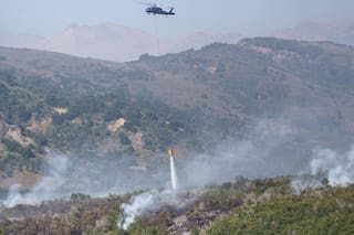 Una buena noticia en medio del drama por el fuego que consume bosques intangibles en Neuquén
