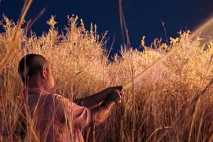 En la provincia, ya ardió más de 800.000 hectáreas