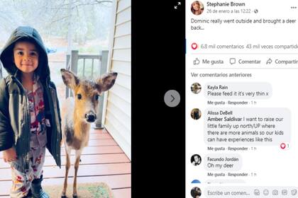 En la publicación de Facebook, la madre mostró el momento justo en que encontró a su hijo con su nueva mascota
