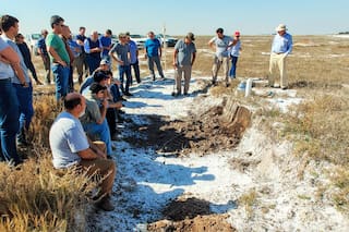 Claves para mejorar la productividad de suelos salinos
