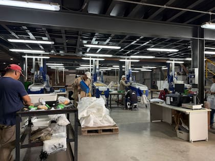 En la recorrida técnica, en el paso por el galpón, explicaron los procesos operativos de semillas; allí se clasifica, se limpia y se procede al ensobrado de las mismas