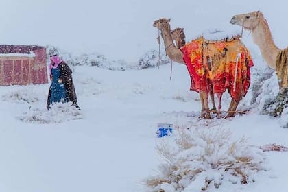 En la región de Arabia Saudita del desierto de Asir la temperatura llegó a los 2° bajo cero