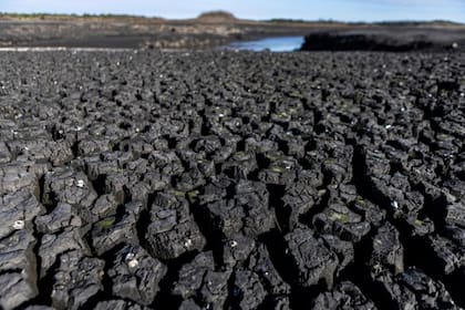 En la represa de Paso Severino que abastece de agua a Montevideo hay tramos secos del río Santa Lucía