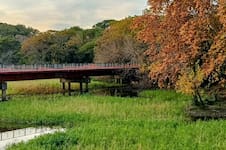 Aventura en la selva, pero en Buenos Aires: todo lo que se puede hacer en las reservas ecológicas porteñas