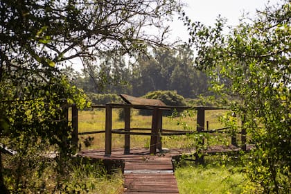En la Reserva El Destino se pueden realizar paseos diarios, cabalgatas y senderismo con acceso a los jardines y a la ribera del Río de la Plata, y visitar la Casa Museo.
