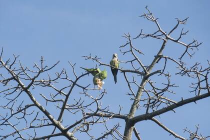 En la reserva hay gran variedad de aves